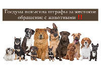 Госдума повысила штрафы за жестокое обращение с животными!
