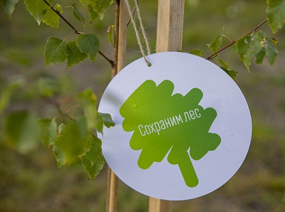 Всероссийская осенняя акция "Сохраним лес!"